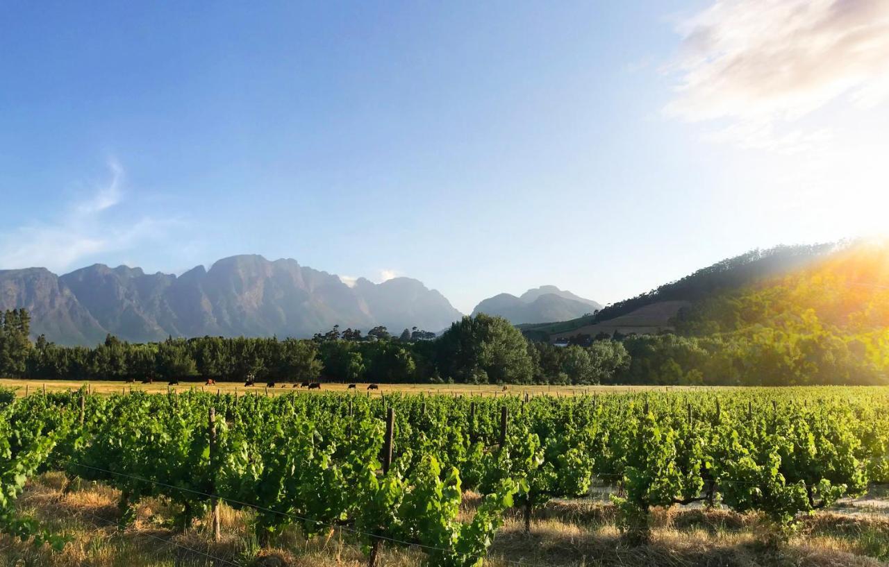 Gite Franschhoek Luaran gambar