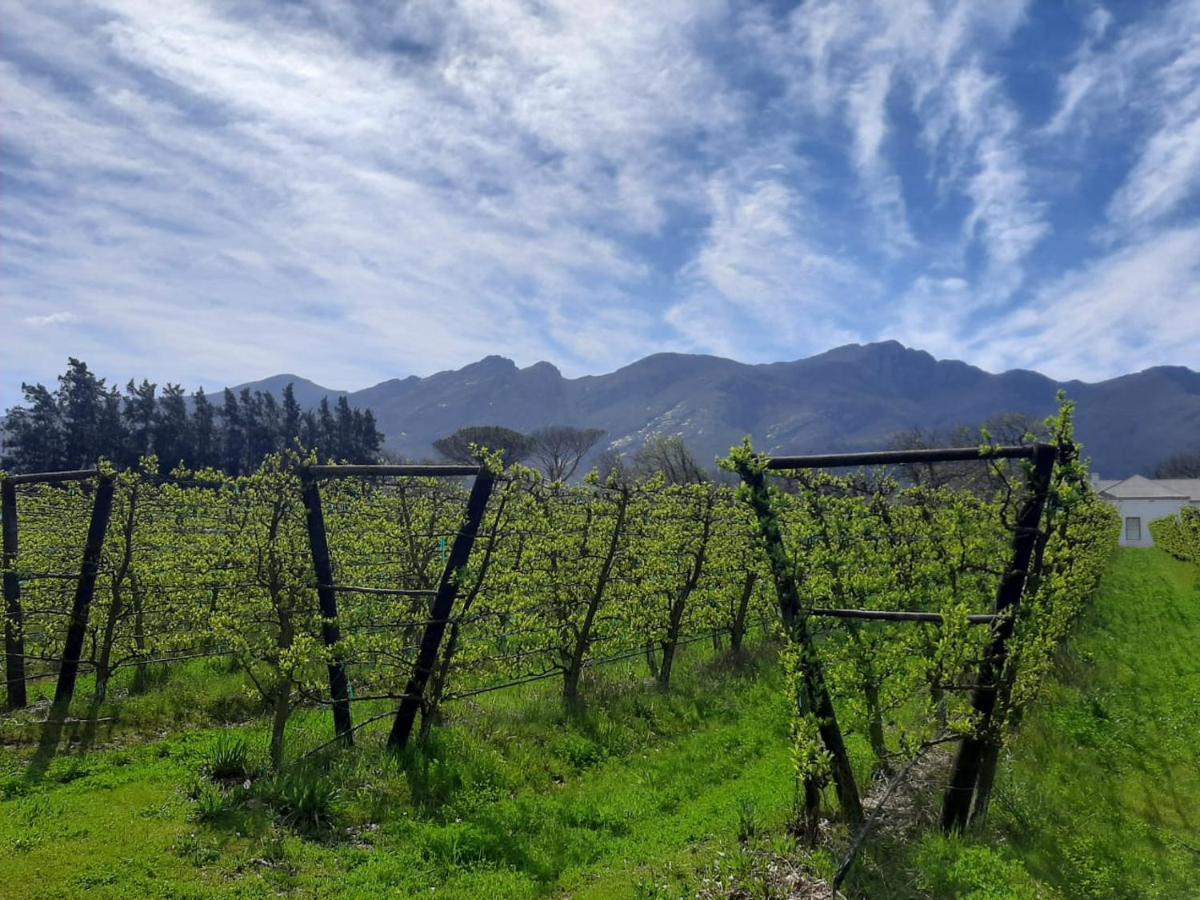 Gite Franschhoek Luaran gambar